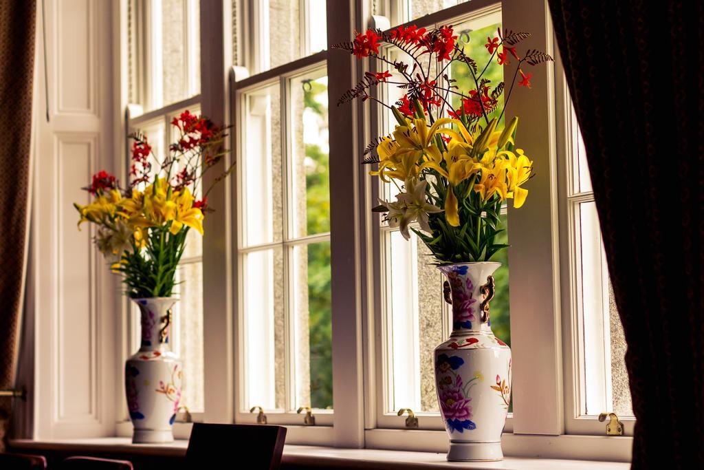 Wilton Castle Apartment Enniscorthy Bagian luar foto