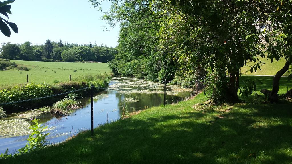 Wilton Castle Apartment Enniscorthy Bagian luar foto