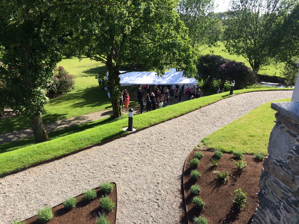 Wilton Castle Apartment Enniscorthy Bagian luar foto